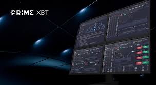 Maximize Your Profits Trading on PrimeXBT Brazil